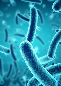 Illustration of bacteria